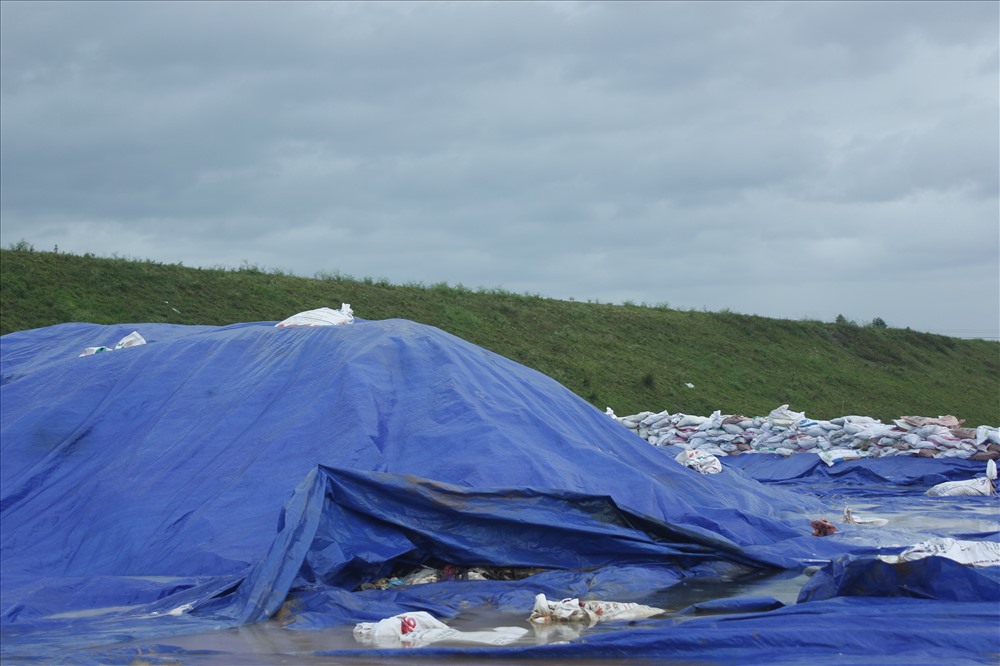 Bãi rác lớn bị đổ ngay tại chân đê sông Hồng.