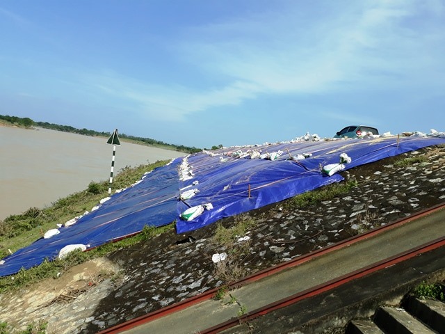 Hơn 200m đê sông Chu chạy qua xã Thọ Trường, huyện Thọ Xuân bị rạn nứt nghiêm trọng. (Ảnh: HT)