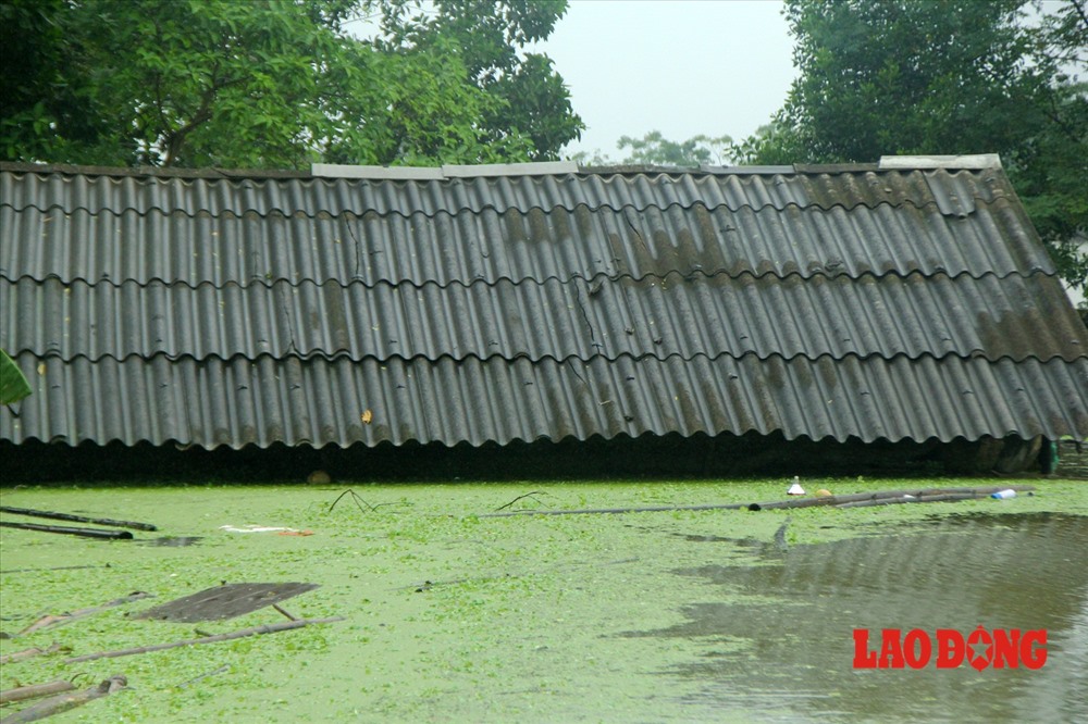 Nhiều nhà ở gần đê nước ngập gần đến nóc nhà. Người dân phải bỏ nhà cửa để tìm chỗ nương náu.