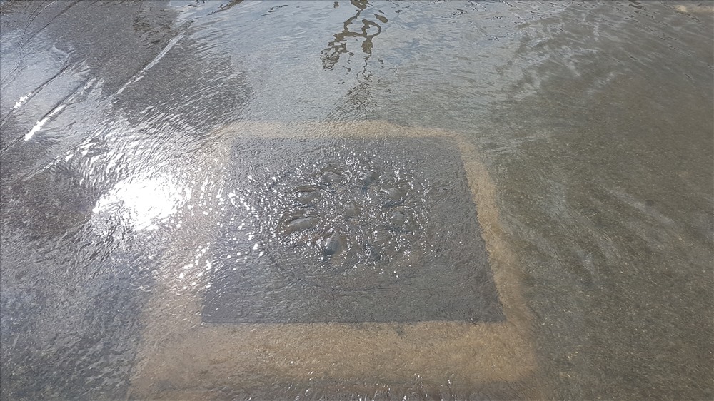Nước từ cống nằm dưới đường gom cầu Thủ Thiêm tuôn xối xả dù lúc này trời chưa mưa. Ảnh: Trường Sơn