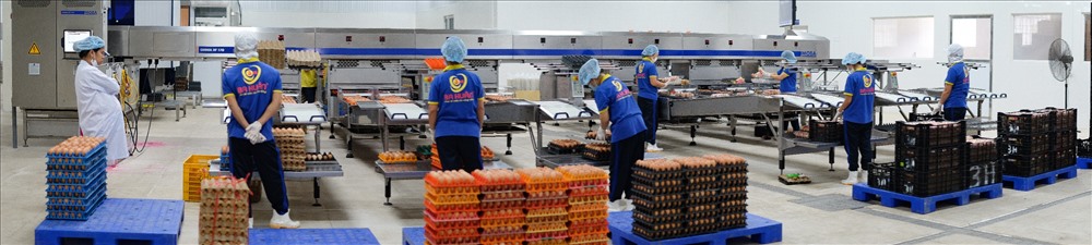 Dây chuyền xử lý và chế biến trứng gia cầm công nghệ cao tại nhà máy của Công ty TNHH Ba Huân Hà Nội – dự án do Vietcombank cấp tín dụng hơn 60 tỷ đồng  