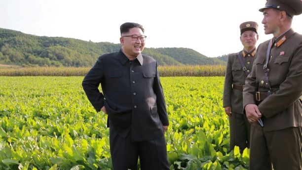 Ông Kim Jong-un thăm nông trường số 1116 của đơn vị 810, quân đội Triều Tiên. Ảnh: KCNA/Reuters