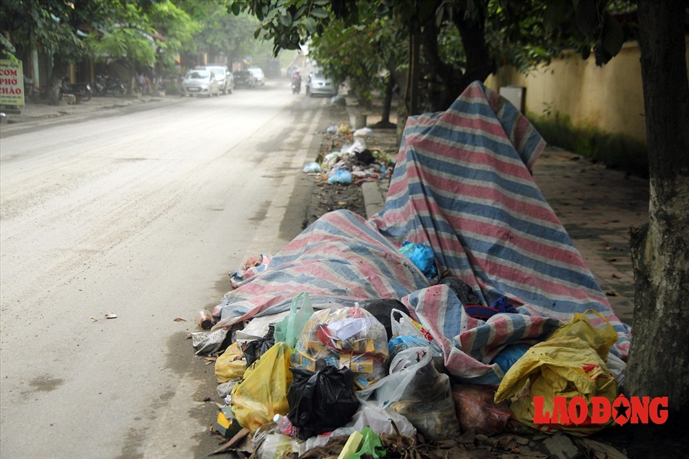 Đống rác khá lớn được đổ ngay trước cổng trường tiểu học Quang Trung