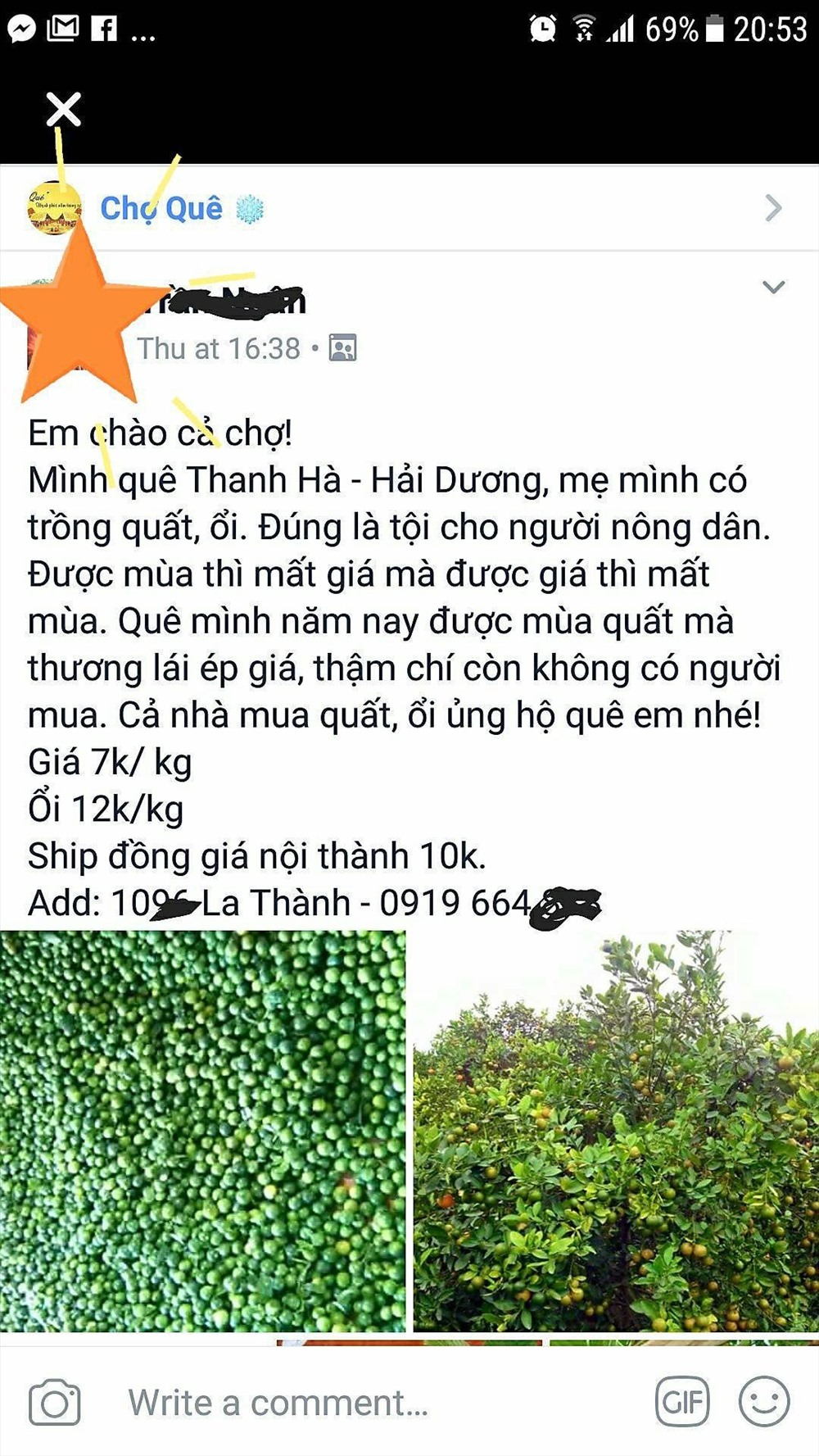 Một facebooker kêu gọi mọi người “giải cứu” vườn quất của mẹ trồng tại Hải Dương. Ảnh: Chụp từ FB