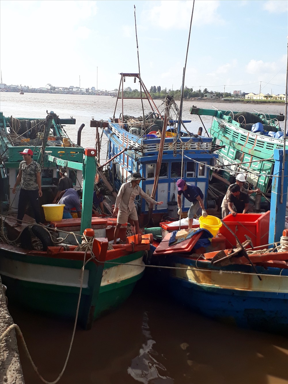 Nhiều tàu đánh cá đã vào cửa biển Gành Hào trú ẩn an toàn (ảnh Nhật Hồ)