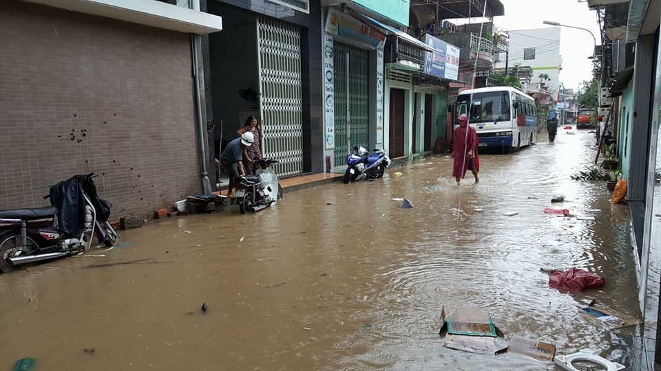 Vừa ra khỏi lũ, người dân các huyện hạ lưu sông Dinh (Khánh Hòa), sông Kì Lộ (Phú Yên) lại phải khẩn trương chằng chống tài sản đối phó với bão số 12. Ảnh: L.Minh 
