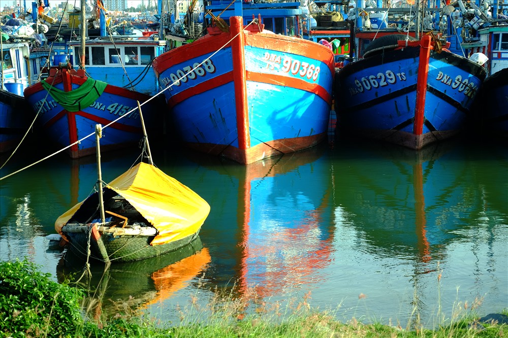 Âu thuyền Thọ Quang bị ô nhiễm bởi rác thải  được dọn rác sạch