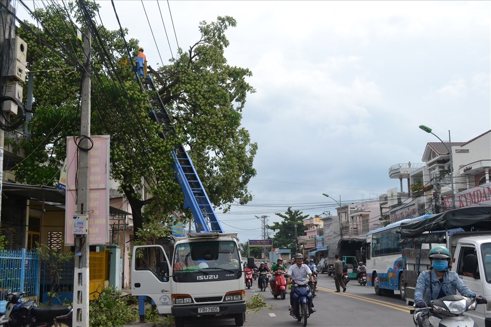 Công nhân cắt tỉa cây xanh để đảm bảo an toàn lưới điện. Ảnh: Châu Tường
