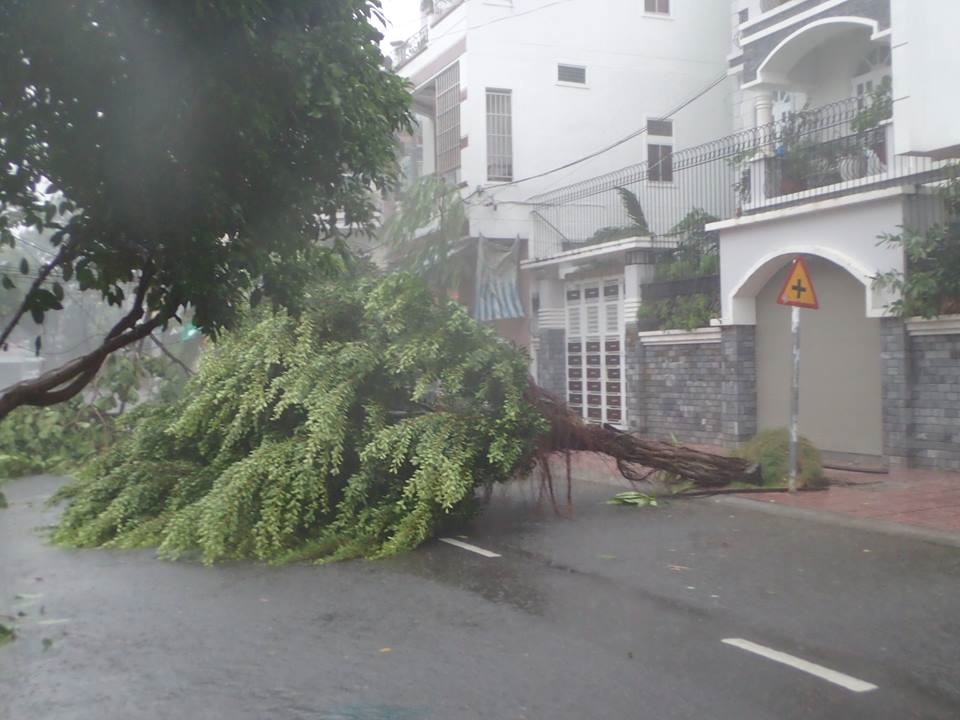 Chùm ảnh bão số 12 đổ bộ Nha Trang, Khánh Hòa: