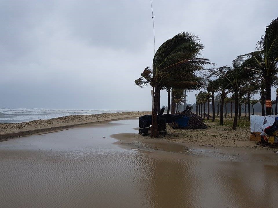 Khu vực ven biển Tam Thanh có gió lớn, nhiều hàng dừa gãy đổ. Ảnh: CĐ