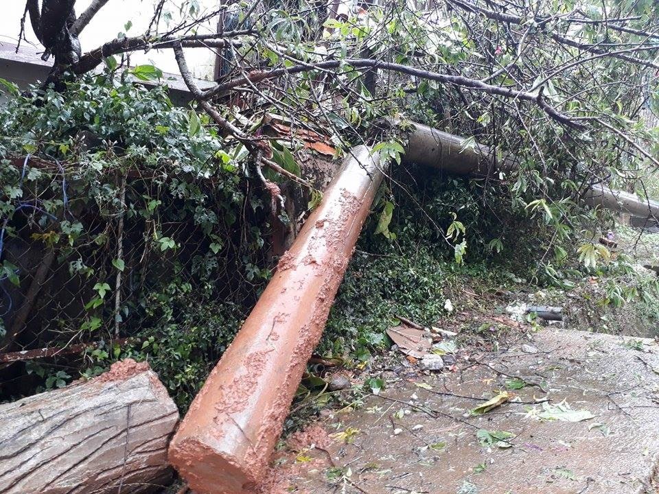 Một số hình ảnh bão số 12 tại Lâm Đồng
