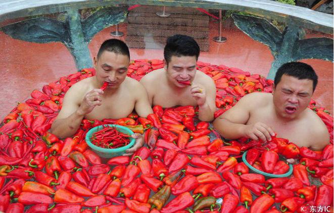 Các thí sinh tham dự sẽ phải ăn thật nhiều ớt có thể trong khi ngồi trong những bể nước đổ đầy ớt.
