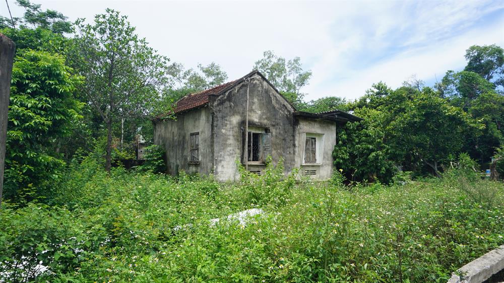 Nghệ An, bỏ hoang