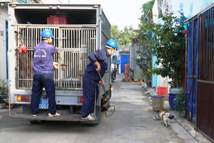 Đội bắt chó Chi cục Thú y TPHCM trên đường tuần tra.