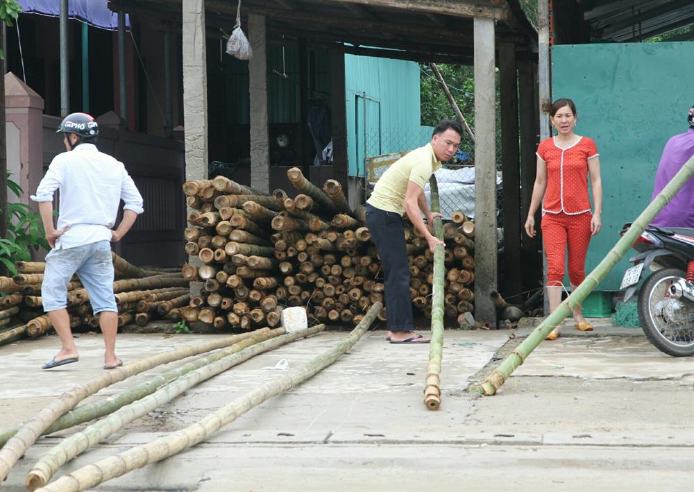 Người dân ở thị trấn Cửa Việt mua các loại tre, cây gỗ để phục vụ việc chằng chống nhà cửa. Ảnh: Hưng Thơ.