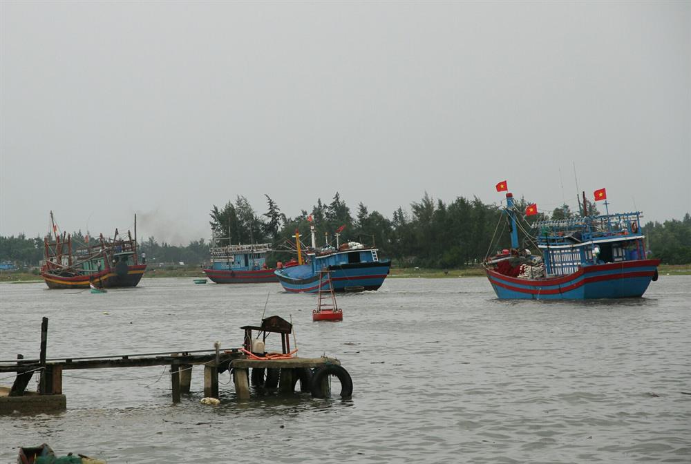 Tàu thuyền ở các xã Gio Việt nối đuôi nhau đến khu neo đậu. Ảnh: Hưng Thơ.