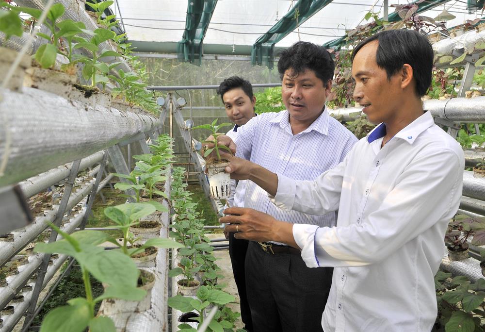 Anh Dương cũng thường xuyên được cán bộ nông nghiệp địa phương hướng dẫn, hỗ trợ.