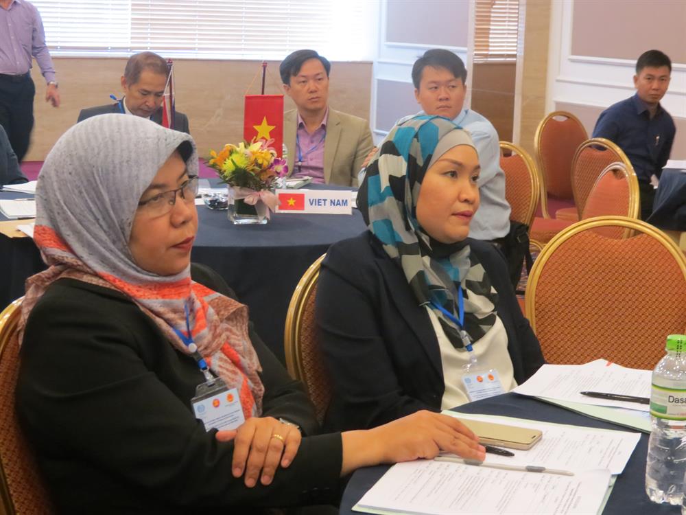 Đại diện các cơ quan Chính phủ, BHXH các nước ASEAN tham dự hội thảo tại TPHCM - Ảnh: L.T