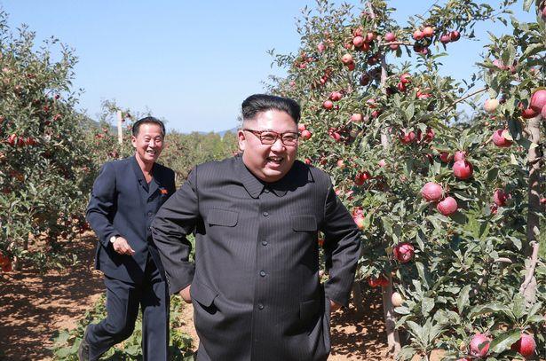 Được biết, vườn cây ăn quả mà lãnh đạo Triều Tiên Kim Jong-un ghé thăm thuộc huyện Kwail, tỉnh Nam Hwanghae. Ảnh: Reuters