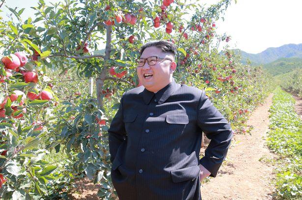 Nhà lãnh đạo 33 tuổi cười rạng rỡ khi đi thăm vườn táo và dừng lại để trò chuyện với công nhân. Ảnh: Reuters