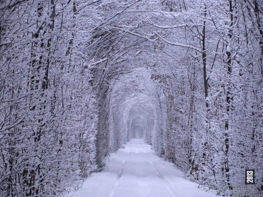 Mùa đông, cả con đường phủ một màu trắng huyền ảo.