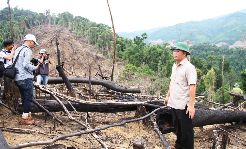 Ông Lê Trí Thanh dẫn đầu đoàn công tác băng rừng kiểm tra hiện trạng phá rừng Tiên Lãnh. Ảnh: LP