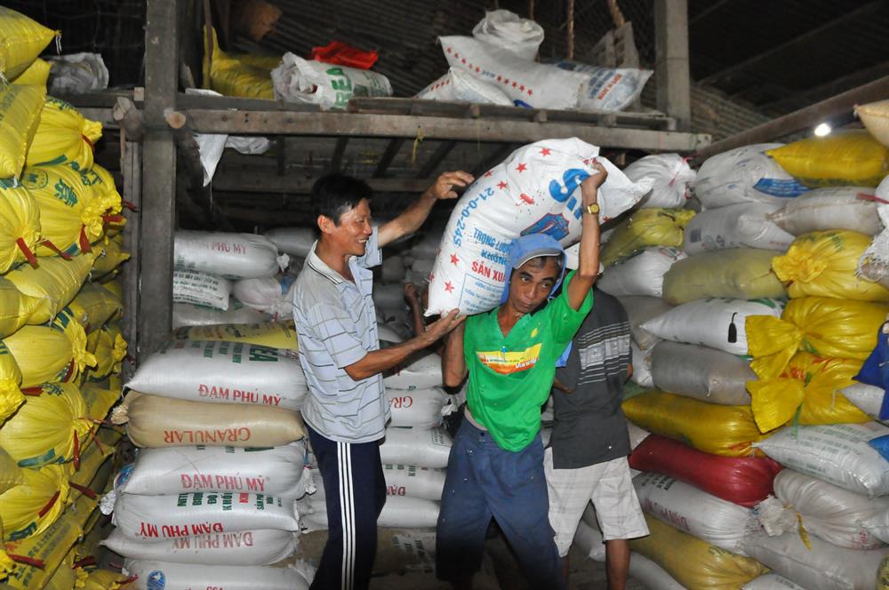 Hoạt động sản xuất lúa gạo tại một doanh nghiệp ở ĐBSCL