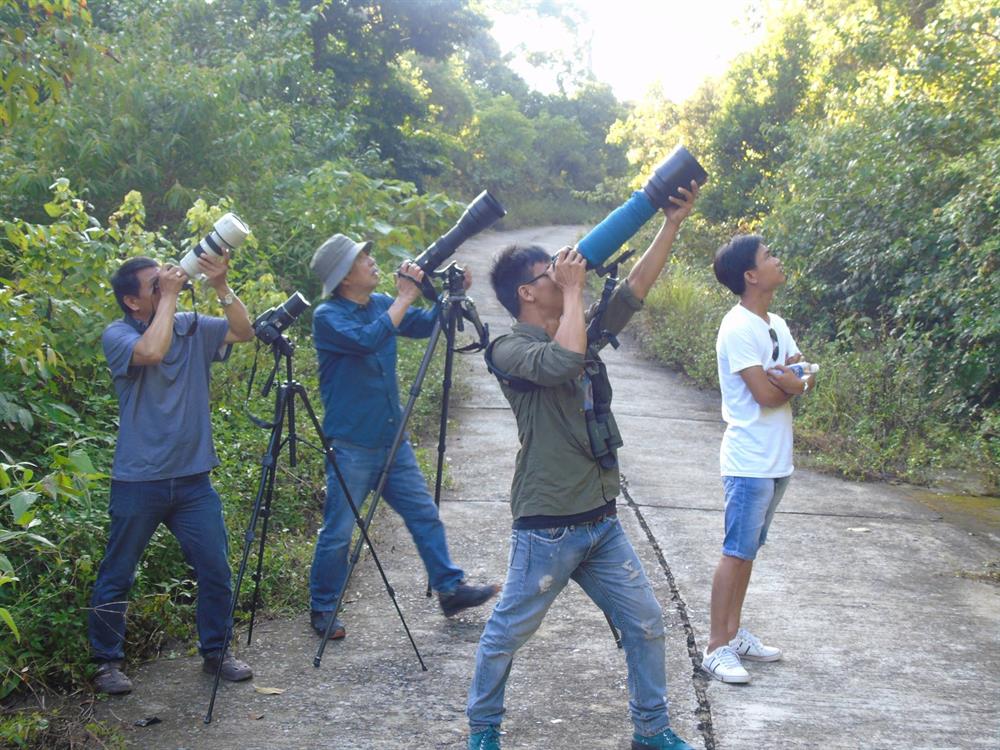 Hàng ngày nhiều nhóm nhiếp ảnh đến Sơn Trà săn ảnh loài nữ hoàng linh trưởng