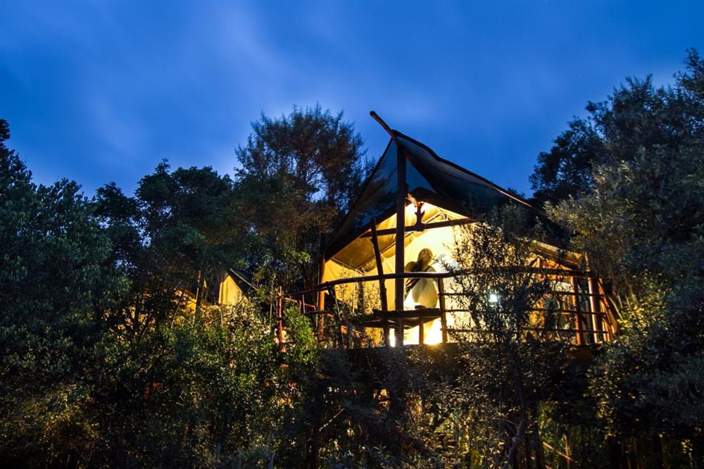 Nhà trên cây Teniqua Treehouse, Nam Phi có hai phòng ngủ riêng biệt và có sàn hành lang để bạn ngắm nhìn thiên nhiên hoang dã trong khi nhấm nháp những ly cocktail ngon tuyệt..