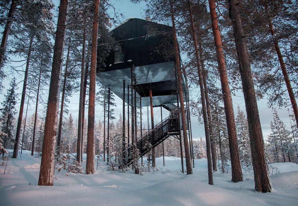 Phòng số 7, Thụy Điển, cầu thang quanh co sẽ đưa bạn lên ngôi nhà kính trên cây với độ cao hơn 10m so với mặt đất. Nhà kính có góc nhìn toàn cảnh tuyệt đẹp và đầy đủ trang thiết bị tiện nghi.