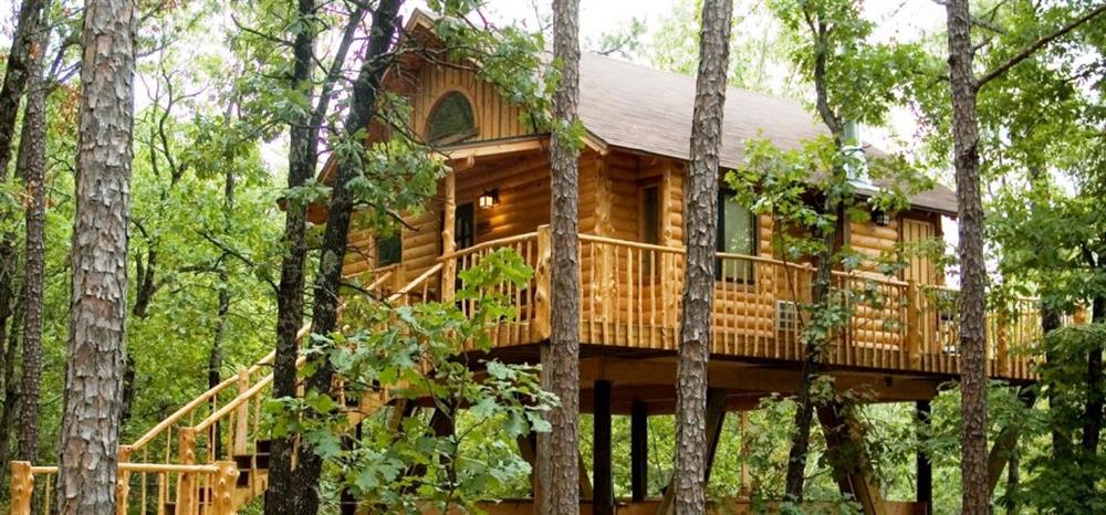 Treehouse cottages, Mỹ nằm trong một khu rừng đẹp như tranh vẽ, cách mặt đất từ ​​bảy đến tám mét. Tất cả các căn đều được trang bị tiện nghi với bốn giường đơn, bể sục... thích hợp đi du lịch cả gia đình.