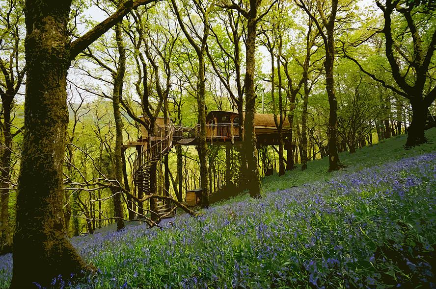 Living-Room Treehouse Experience, Wales, Vương quốc Anh gồm sáu ngôi nhà riêng biệt nằm sâu trong vùng nông thôn xứ Welsh, được bao quanh bởi những khu rừng  hoang dã, giúp bạn có thể tận hưởng cuộc sống hòa mình với thiên nhiên. Bạn sẽ có cơ hội dùng bữa tối giữa rừng với ánh nến và ngắm nhìn hàng ngàn vì sao trên bầu trời.