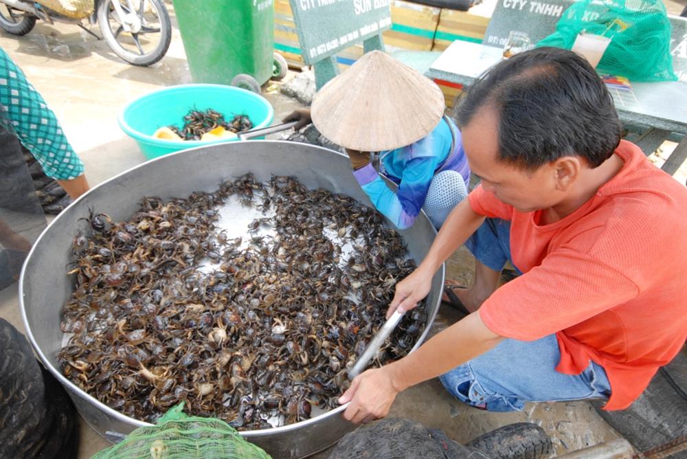 Công đoạn đầu tiên đem cua ra chợ bán là phân loại cua theo lớn nhỏ.