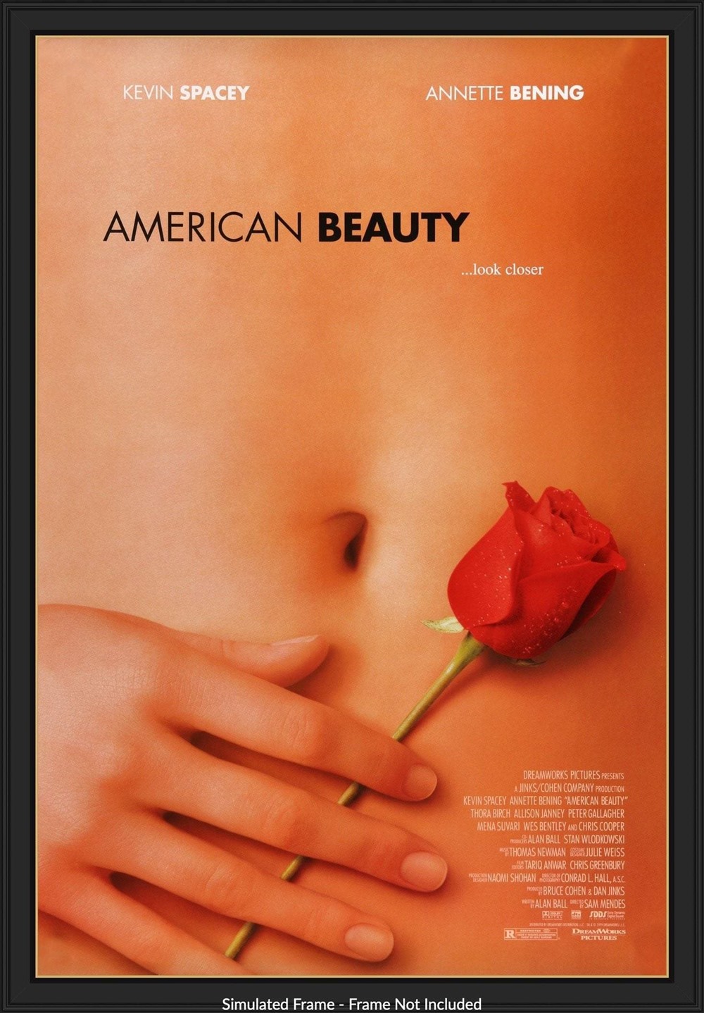 Poster phim “Vẻ đẹp Mỹ” được đánh giá là đẹp nhất mọi thời đại. Ảnh: T. L.