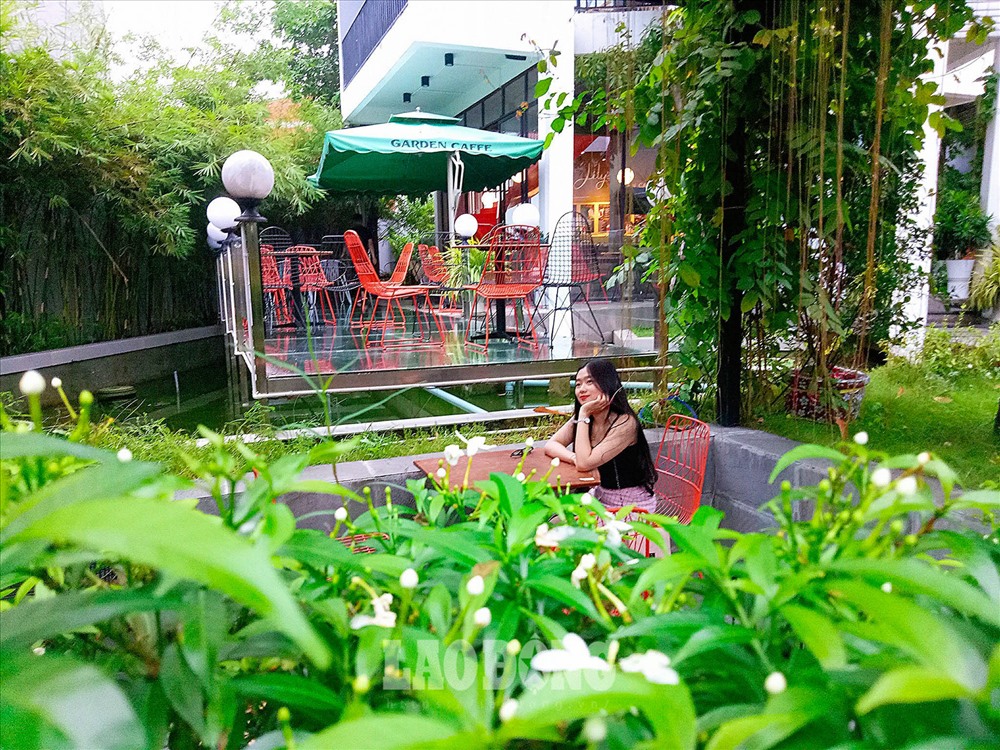 Ngoài mô hình những chiếc ống thu hút khách, quán cà phê còn sở hữu khu sân vườn với nhiều cây cối tươi mát, thoáng đãng.