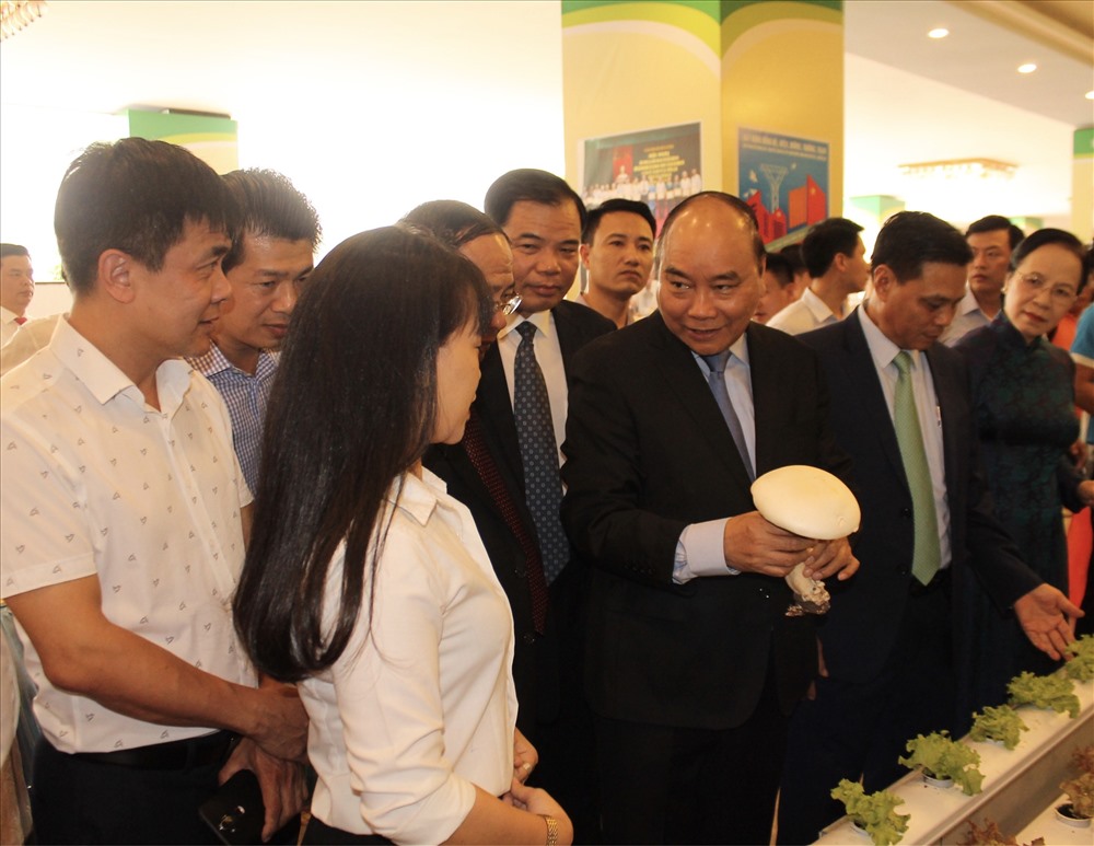 Thủ tướng Chính phủ tham quan khu trưng bày sản phẩm nông sản. Ảnh MD