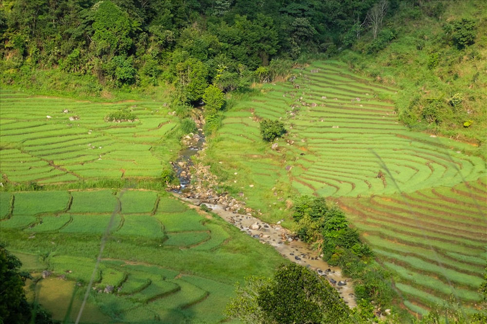 Một con suối chảy ngang qua cánh đồng ruộng bậc thang. Đây cũng chính là nguồn nước mà người đồng bào Cơ Tu dẫn vào để phục vụ cho việc trồng lúa.