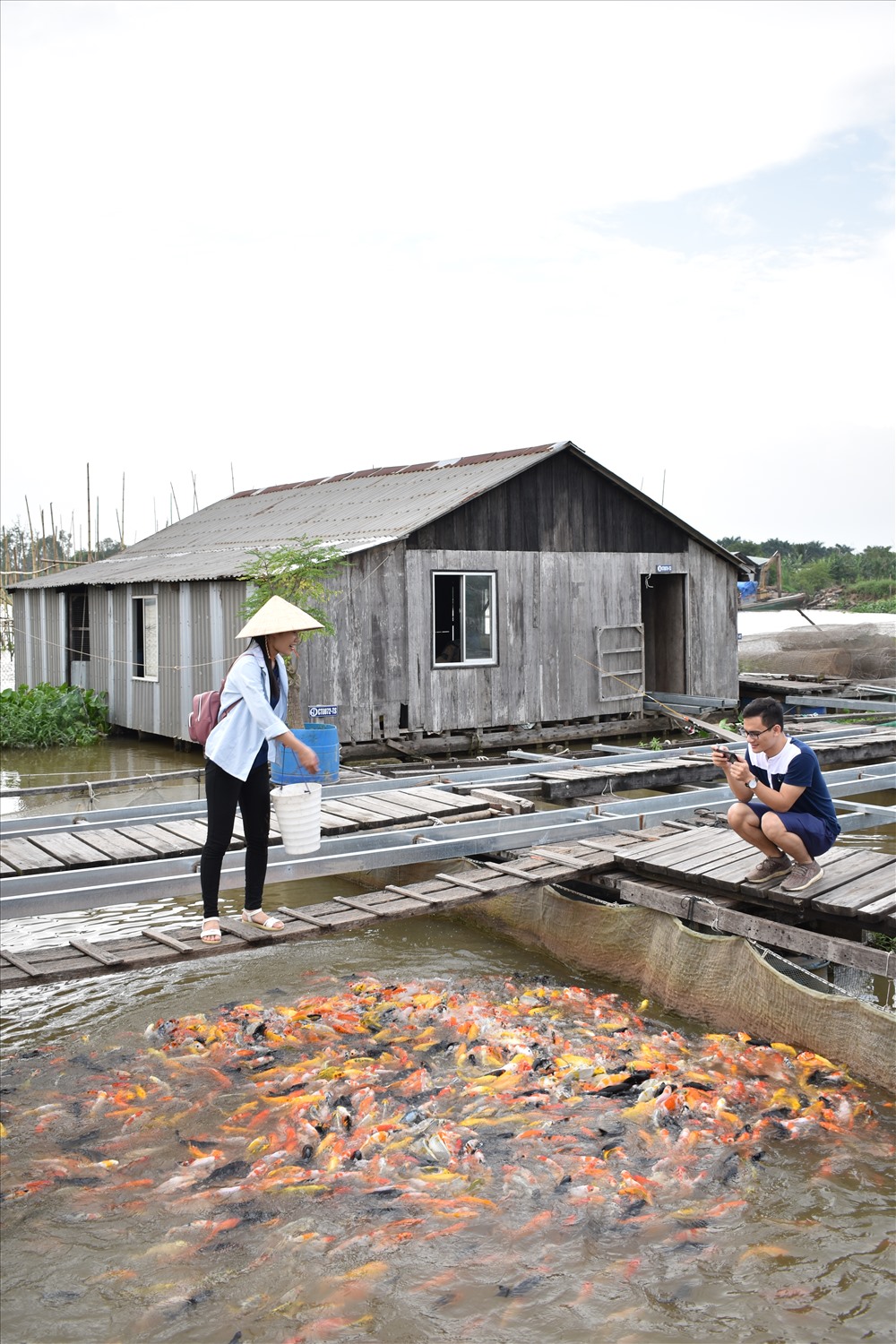 Khách du lịch câu cá và trải nghiệm cho cá koi ăn. Ảnh: Thành Nhân