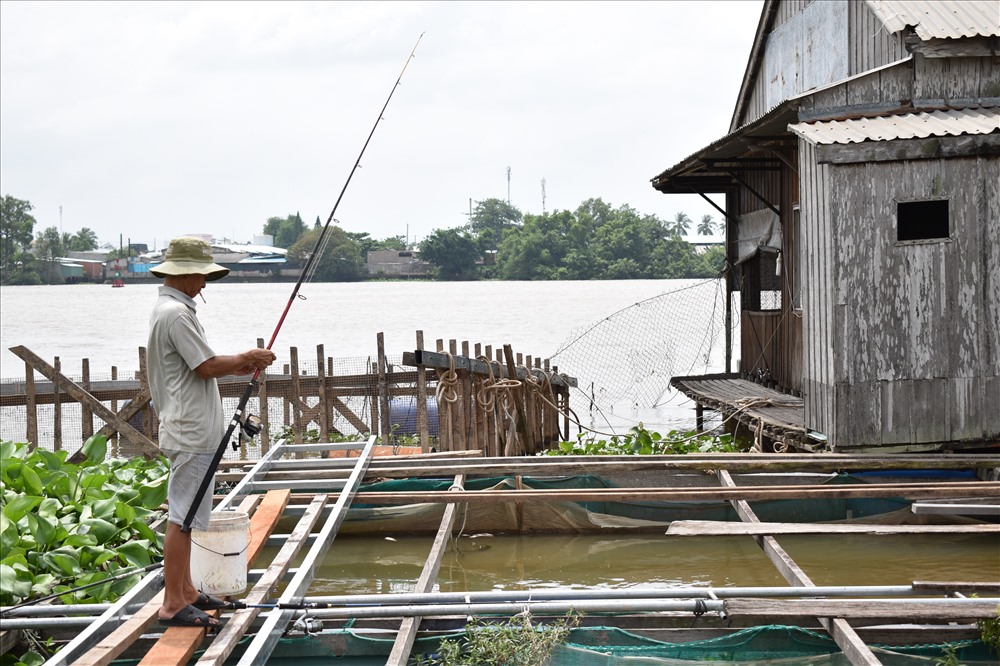 Khách du lịch câu cá và trải nghiệm cho cá koi ăn. Ảnh: Thành Nhân