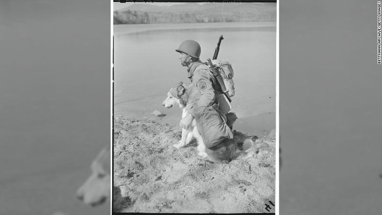 Thượng sĩ. Stanley Novak cùng chú chó “Mukluk” trong quá trình luyện tập trên hồ Chiquora, năm 1940. Ảnh: Getty Images