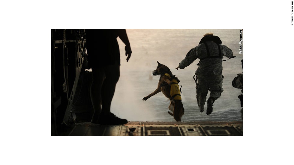 Một binh sĩ quân đội Mỹ và chó nghiệp vụ nhảy dù khỏi trực thăng Chinook trong quá trình huấn luyện dưới nước ở Vịnh Mexico. Ảnh: Bộ Quốc phòng Mỹ