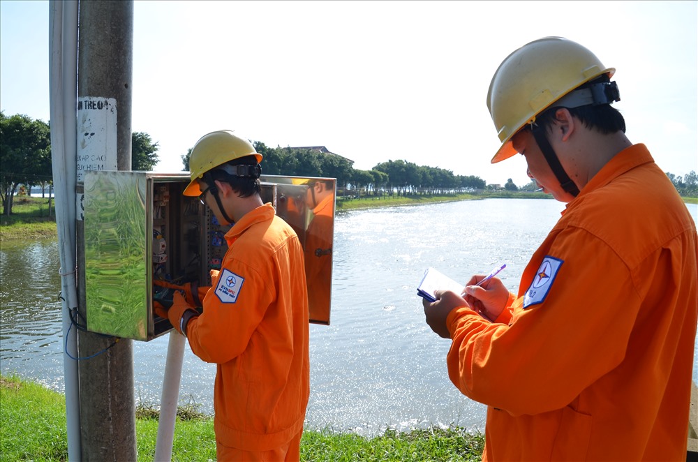 Kiểm tra lưới điện phục vụ các vùng nuôi cá tra ở Đồng Tháp - Ảnh: PV