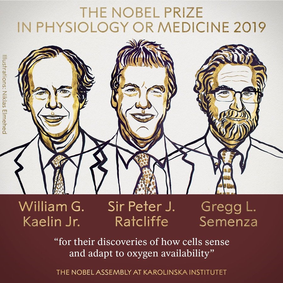 Ba nhà khoa học giành giải Nobel Y học 2019. Ảnh: Nobel Prize.