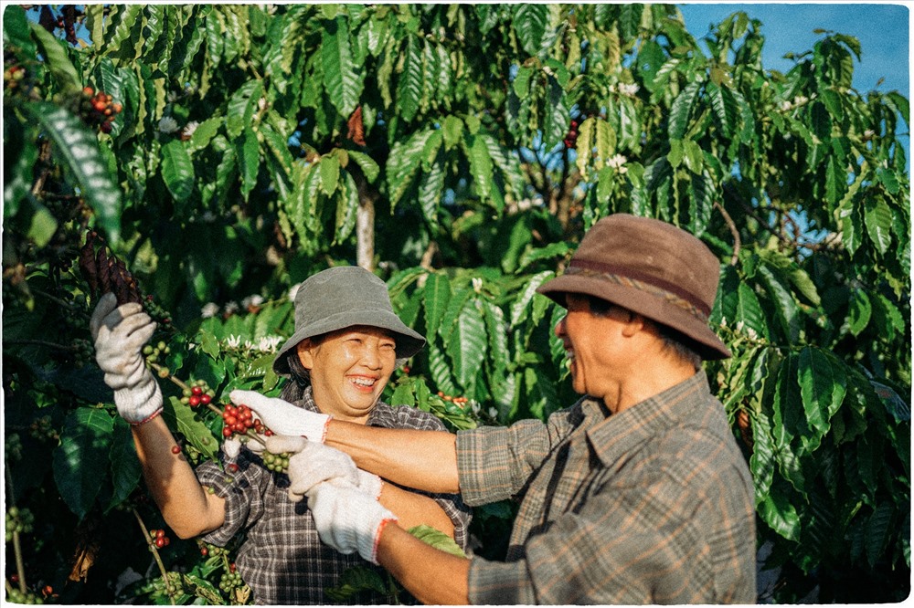 Lưu Xuân Đức cho biết cậu chụp bộ ảnh về bố mẹ cách đây chưa đầy một tuần. Bộ ảnh  đã nhận được sự ủng hộ mạnh mẽ của cộng đồng mạng.