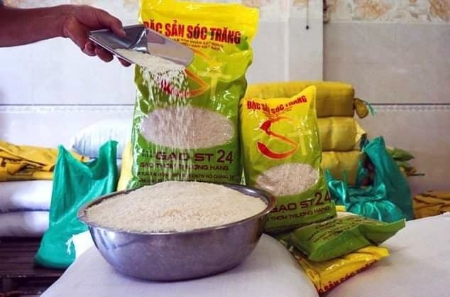 Trước đó, gạo ST 24 cũng được vinh danh gạo ngon nhất Việt Nam vào ngày 4.11 (ảnh Nhật Hồ)