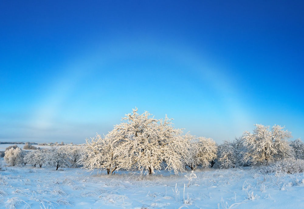 Bức ảnh “White misty rainbow over the winter garden” (Cầu vồng sương mù trắng trên khu vườn mùa đông) của nhiếp ảnh gia Elena Belozorova lọt vào vòng chung kết của cuộc thi Weather Photographer of the Year 2019.