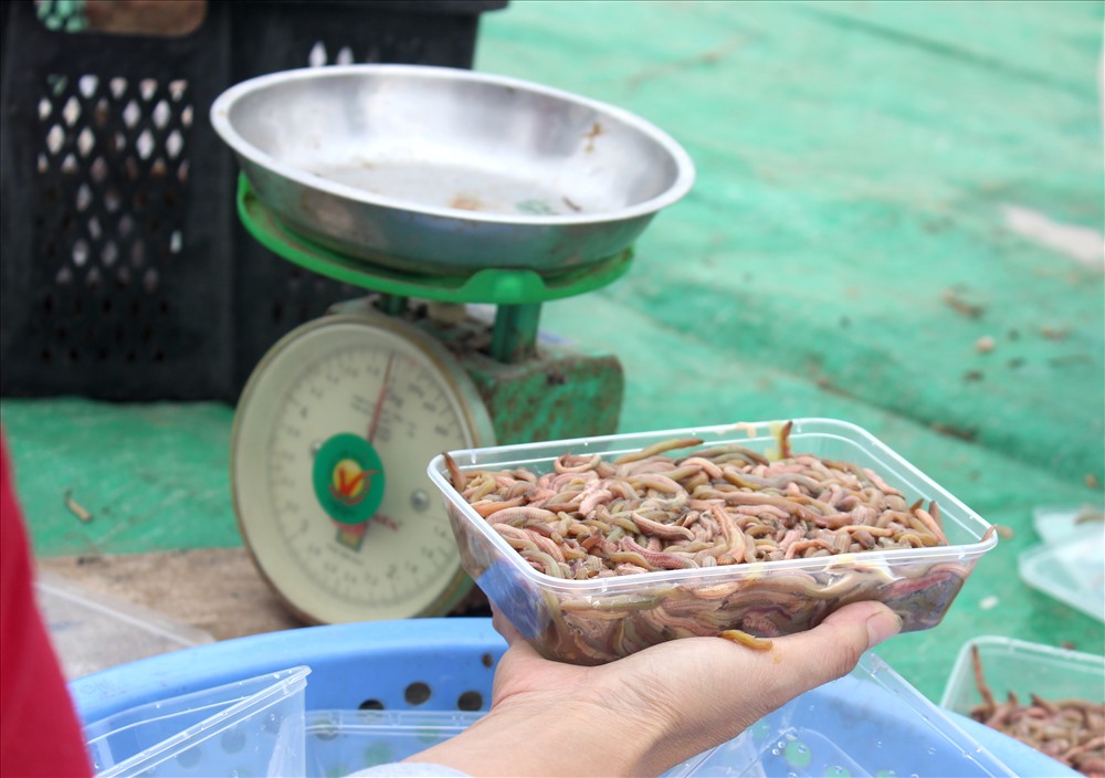 Kết thúc ngày thu hoạch với từng khay rươi béo ngậy, tươi rói, bò nhung nhúc, bà Bùi Thị Kim khéo bê khay rươi to, ngon nhất vào chế biến bữa cơm gia đình.