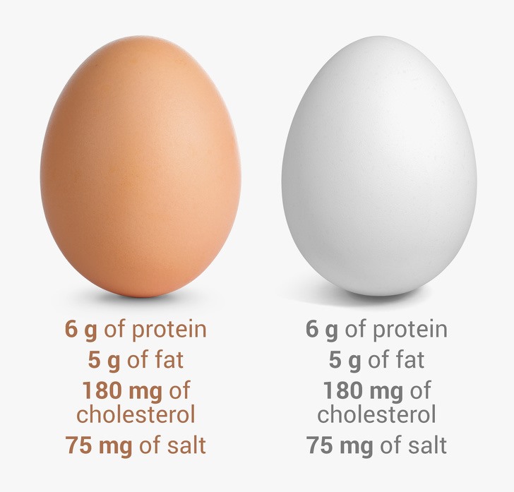 4. Trứng vỏ nâu tốt hơn trứng vỏ trắng?: Chúng ta thường nghe nói rằng các sản phẩm màu nâu hoặc đen tốt cho sức khỏe hơn các sản phẩm màu trắng. Ví dụ: bánh mì hoặc đường. Nhưng trứng không nằm trong số đó. Các nghiên cứu đã chỉ ra rằng trứng vỏ nâu tốt gần giống như trứng vỏ trắng. Trứng tốt hơn tùy thuộc vào các yếu tố khác là tốt. Ví dụ, trứng của một con gà mái sống nhiều dưới ánh mặt trời chứa vitamin D gấp 3-4 lần. Gà ăn thức ăn giàu omega-3 có trứng chứa nhiều omega-3.