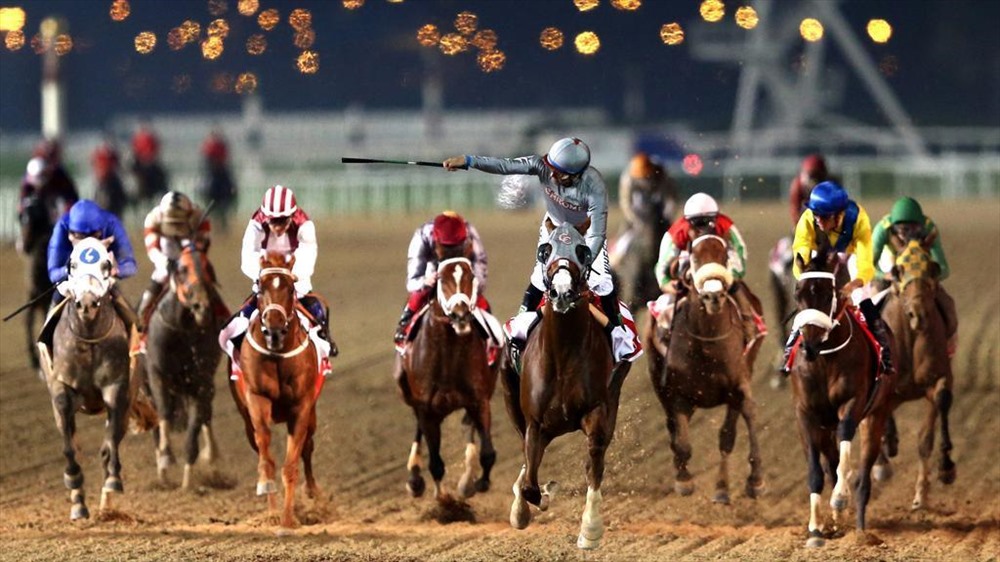 Đua ngựa có lẽ nó là môn thể thao phổ biến nhất của người bản địa UAE. Nó phổ biến hơn đua lạc đà vì khả năng dễ dàng của các thiết bị cần thiết. Dubai đã tổ chức cuộc đua ngựa giàu nhất thế giới World Cup Dubai. Ảnh: Gulf News