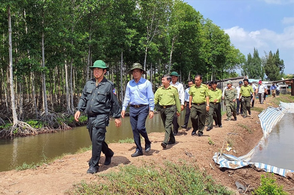 Chủ tịch UBND tỉnh Bạc Liêu Dương Thành Trung kiểm tra rừng phòng hộ ven biển Bạc Liêu (ảnh Nhật Hồ)